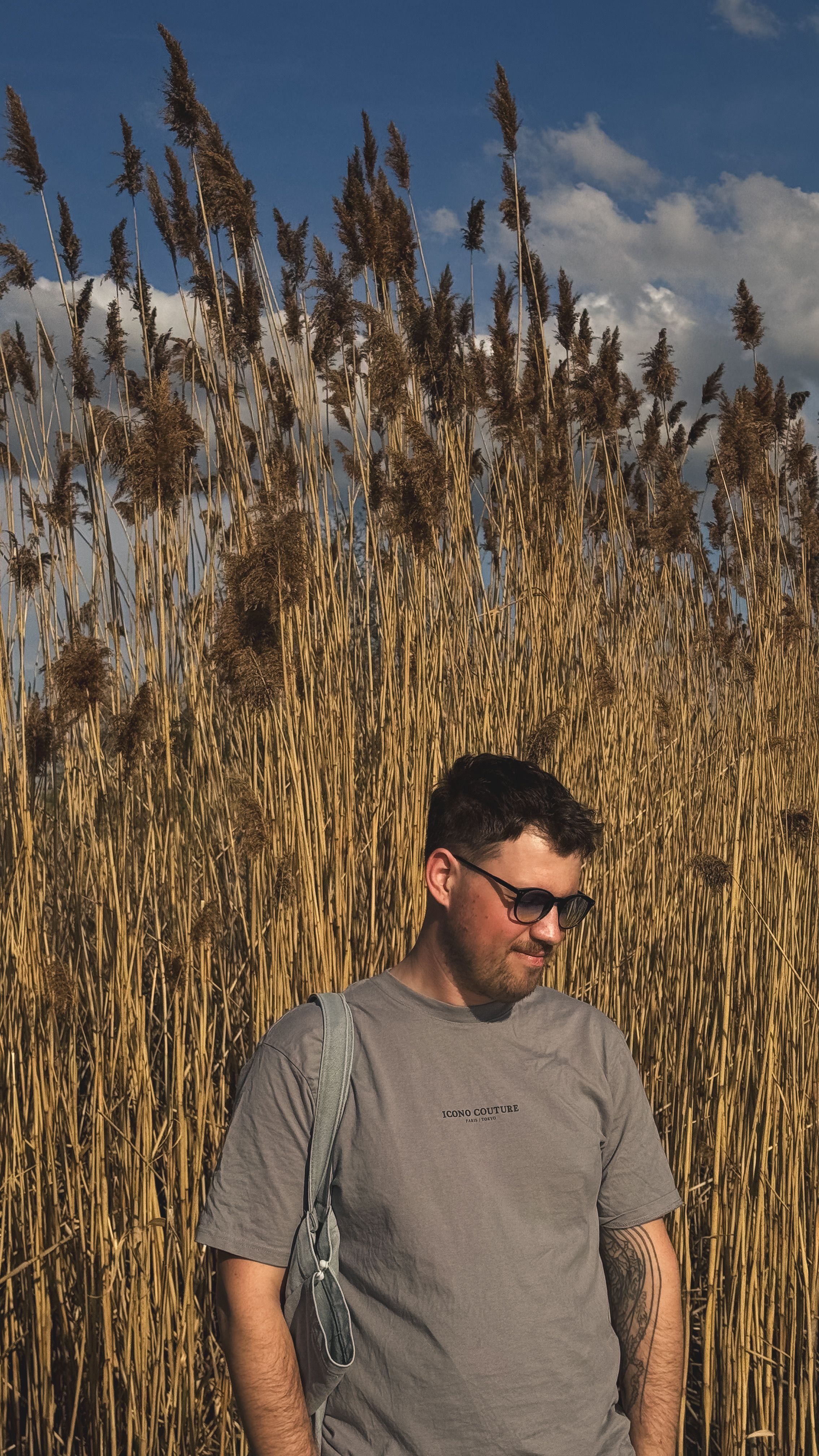 A man in sunglasses stands among tall reeds under a blue sky.