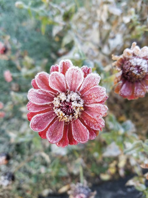 Foto profissional grátis de com frio, cristais, cristal