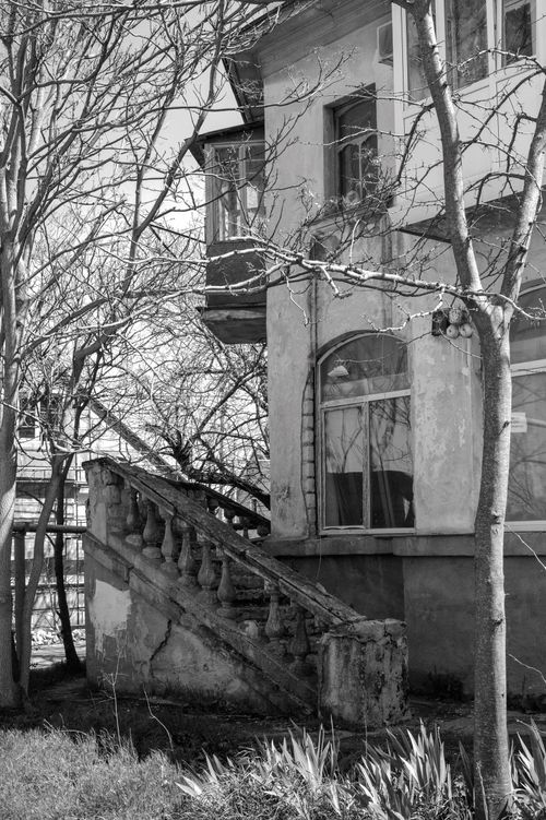 Free Black and white photo of an abandoned vintage house with a rustic staircase and leafless trees. Stock Photo