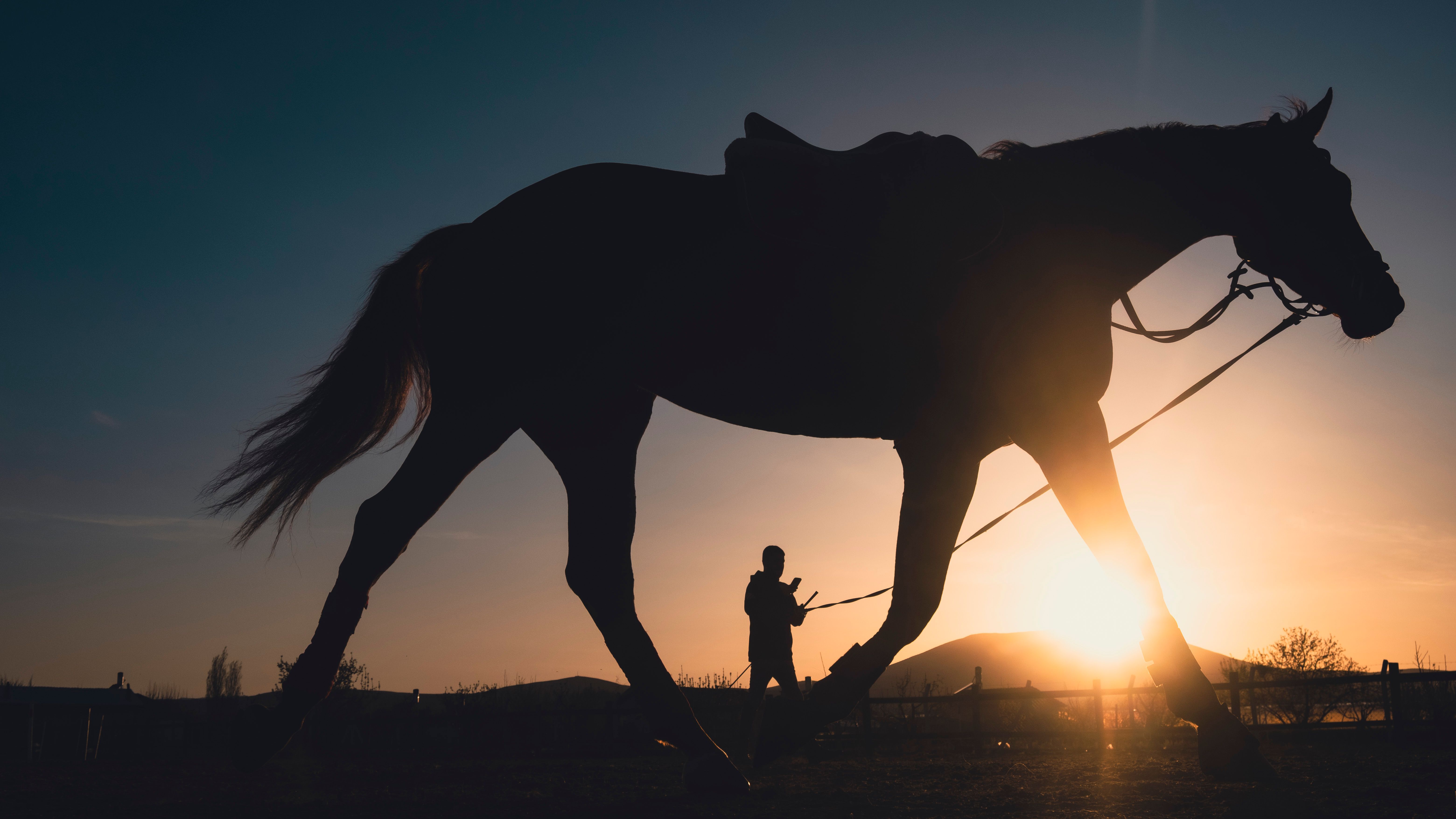 Silhouette of Horse and Rider at Sunset in Konya · Free Stock Photo