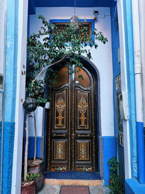 Free Intricate black wooden door in a blue Mediterranean alley with plants. Stock Photo