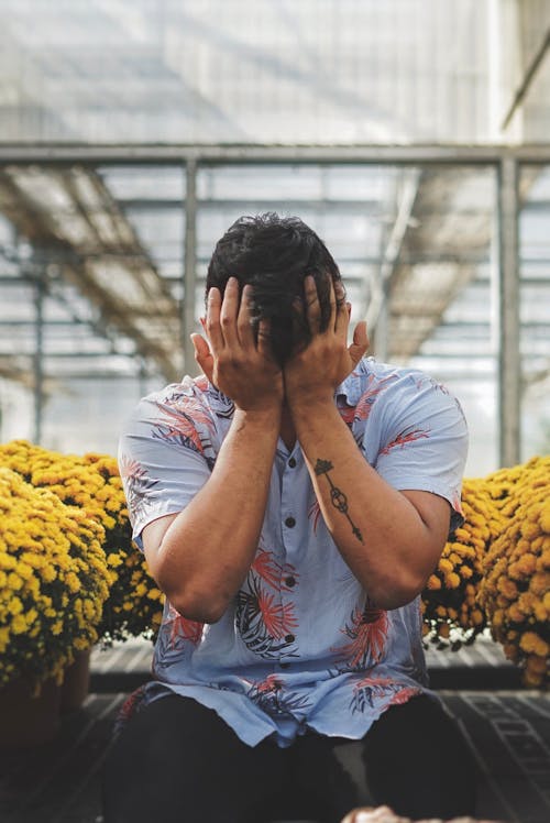 Free Man In Floral Shirt Covering His Face With His Hands Sitting Between Potted Yellow Flowers Stock Photo