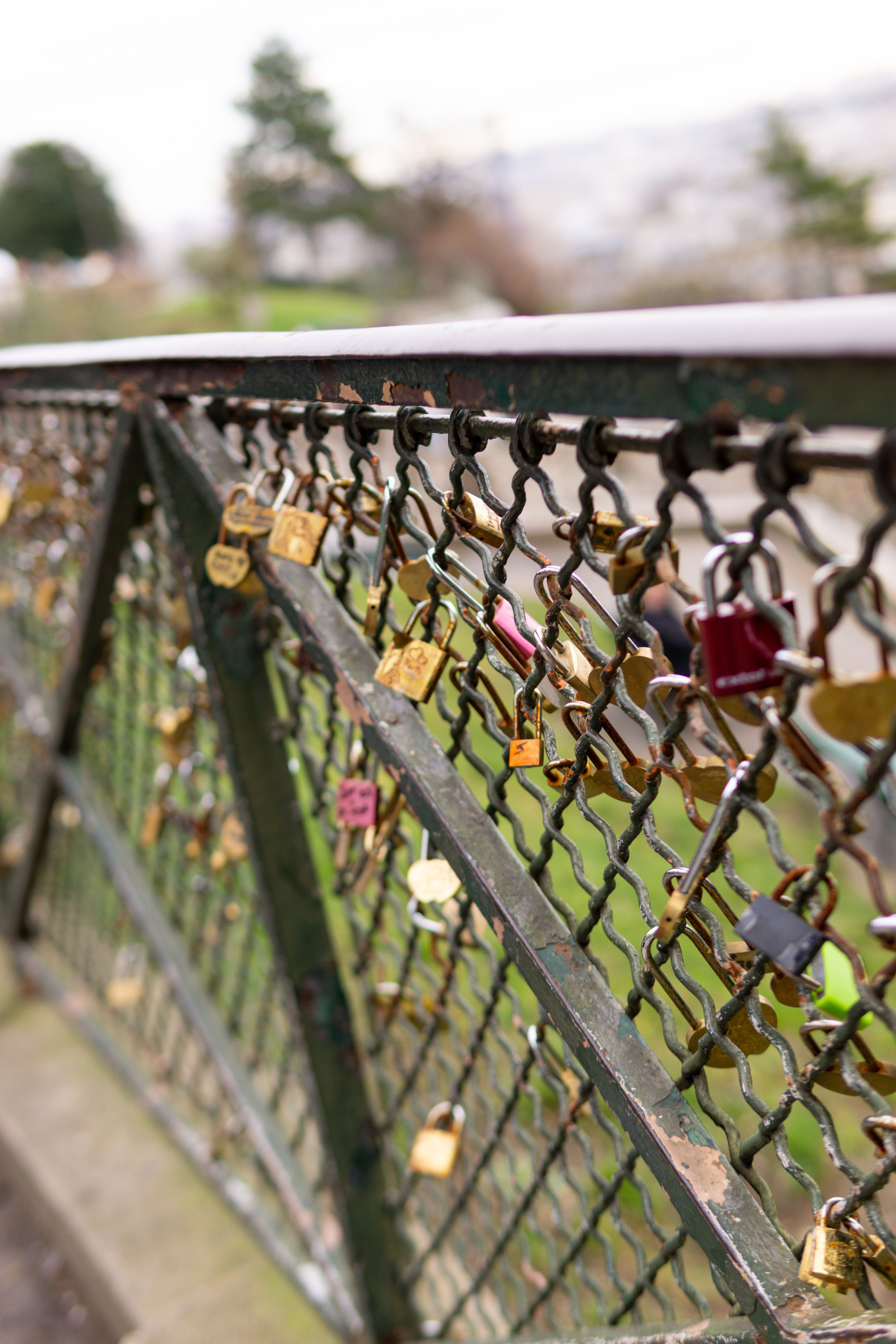 Romantic Love Locks on Metal Bridge Railing · Free Stock Photo