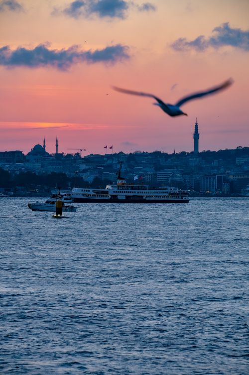 Free A serene view of İstanbul's skyline with a seagull and ships at sunset, capturing the vibrant pink and blue hues. Stock Photo