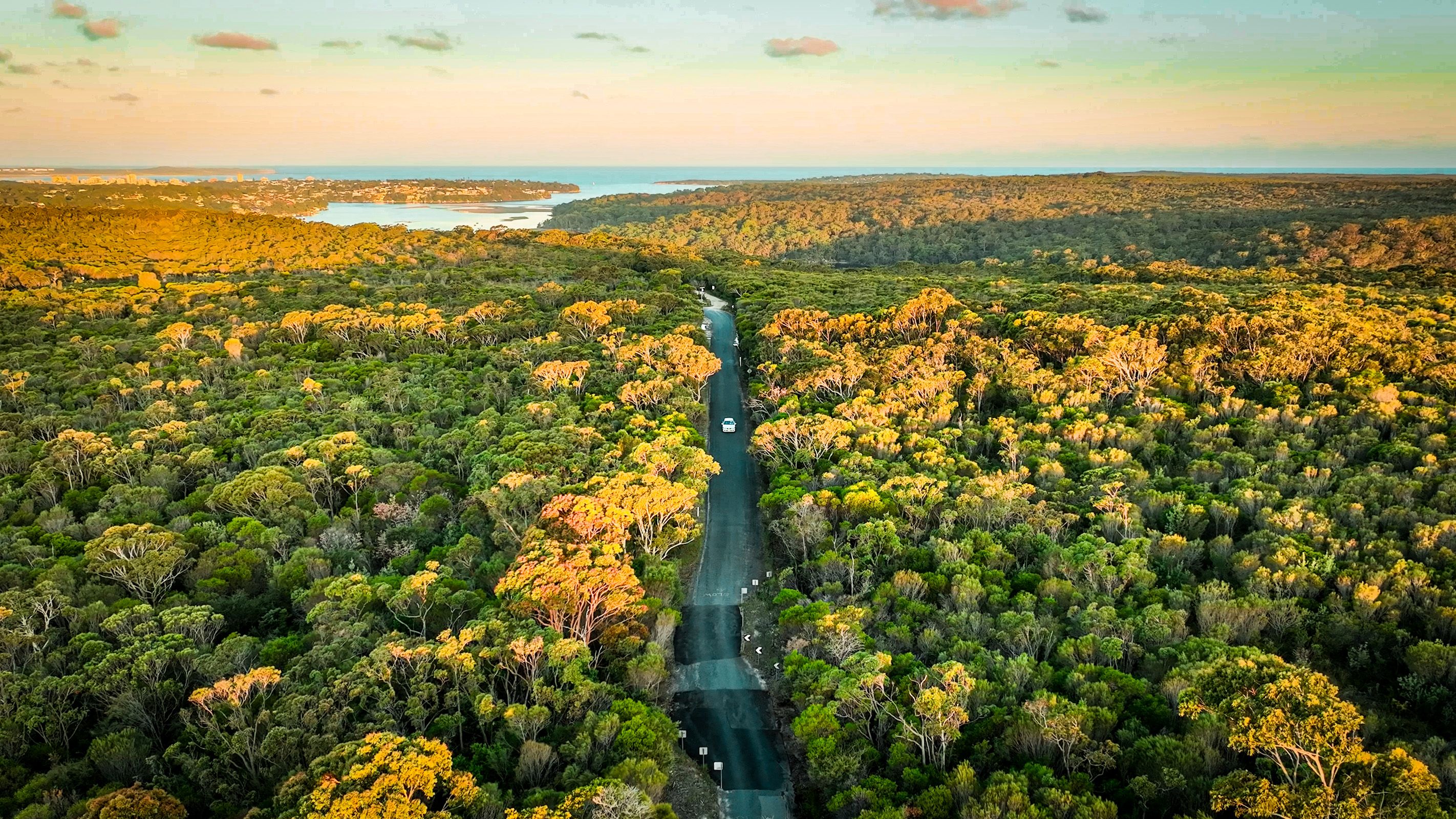 Scenic aerial view of lush greenery and winding road at Royal National Park during golden hour.