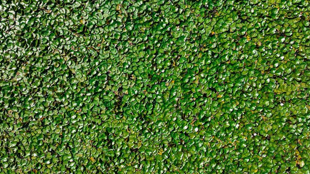 Image by Hallie Evans