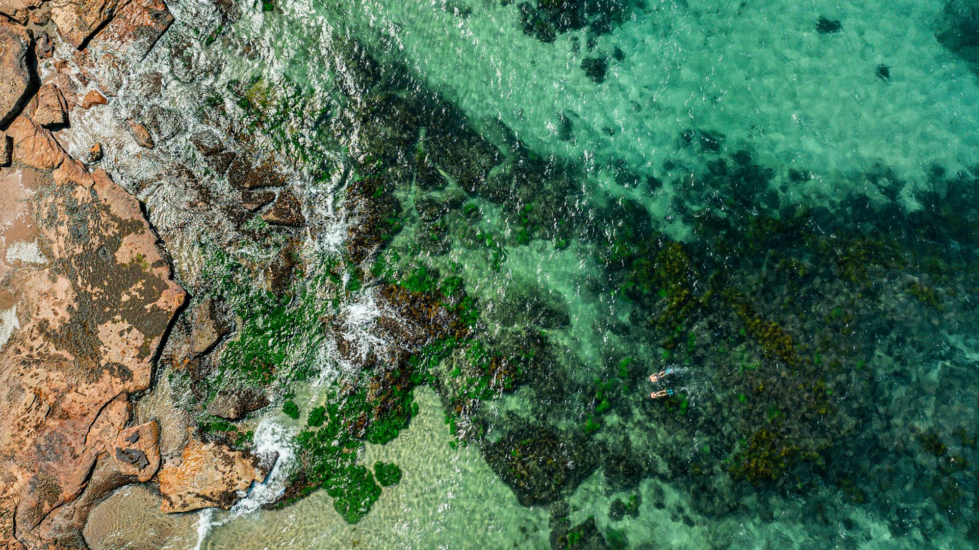 A stunning aerial view of the vibrant coastline of Cronulla, Australia with a lone snorkeler exploring the clear waters.