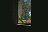 Serene Outdoor Portrait through a Window Frame