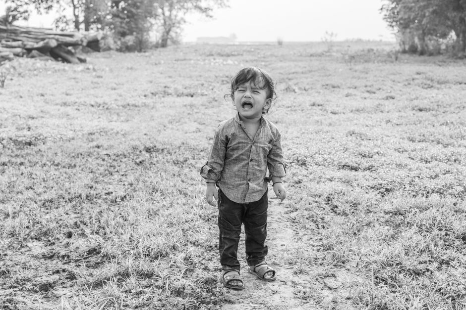 toddler emotional regulation