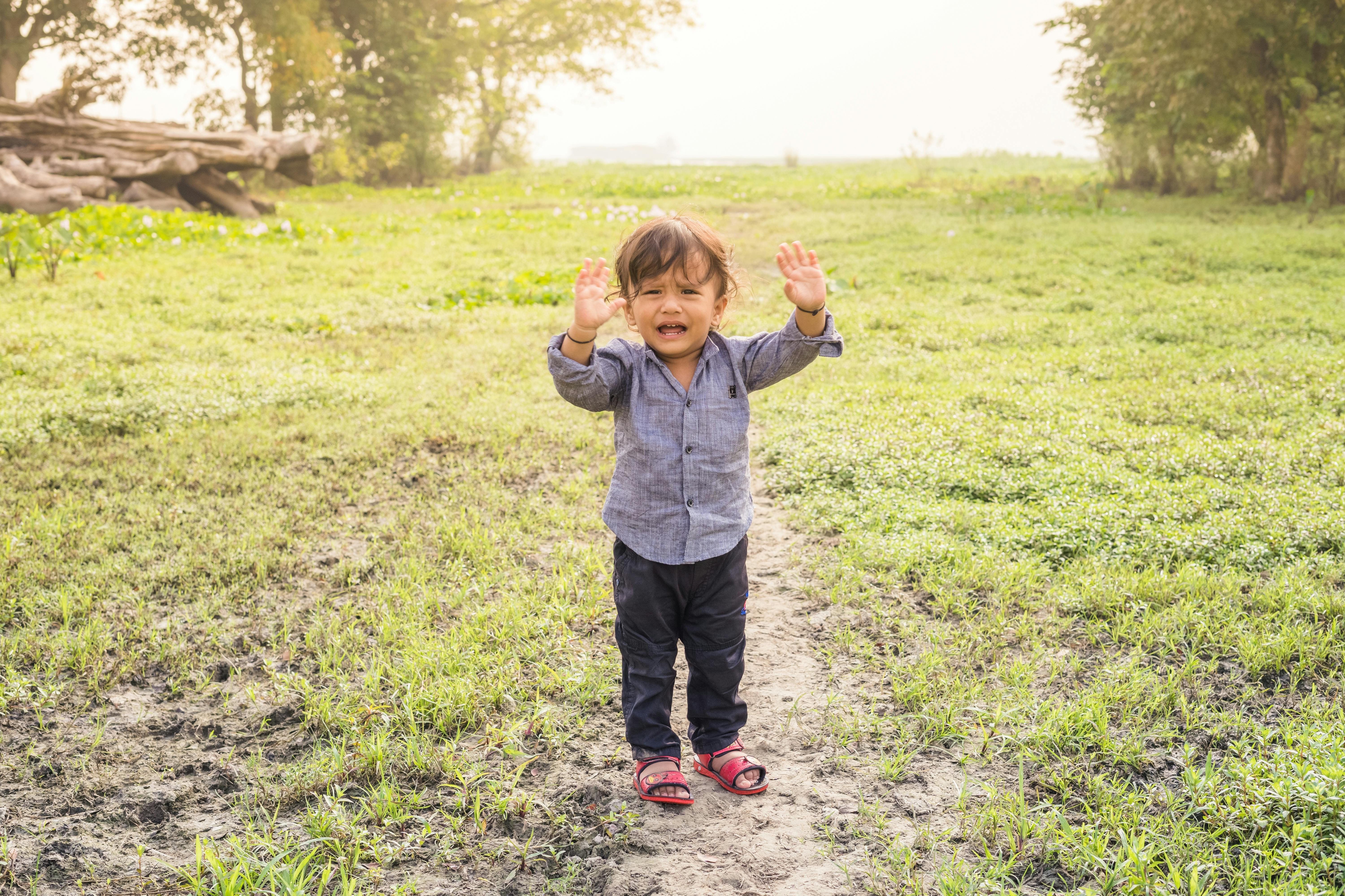 Raising Toddlers