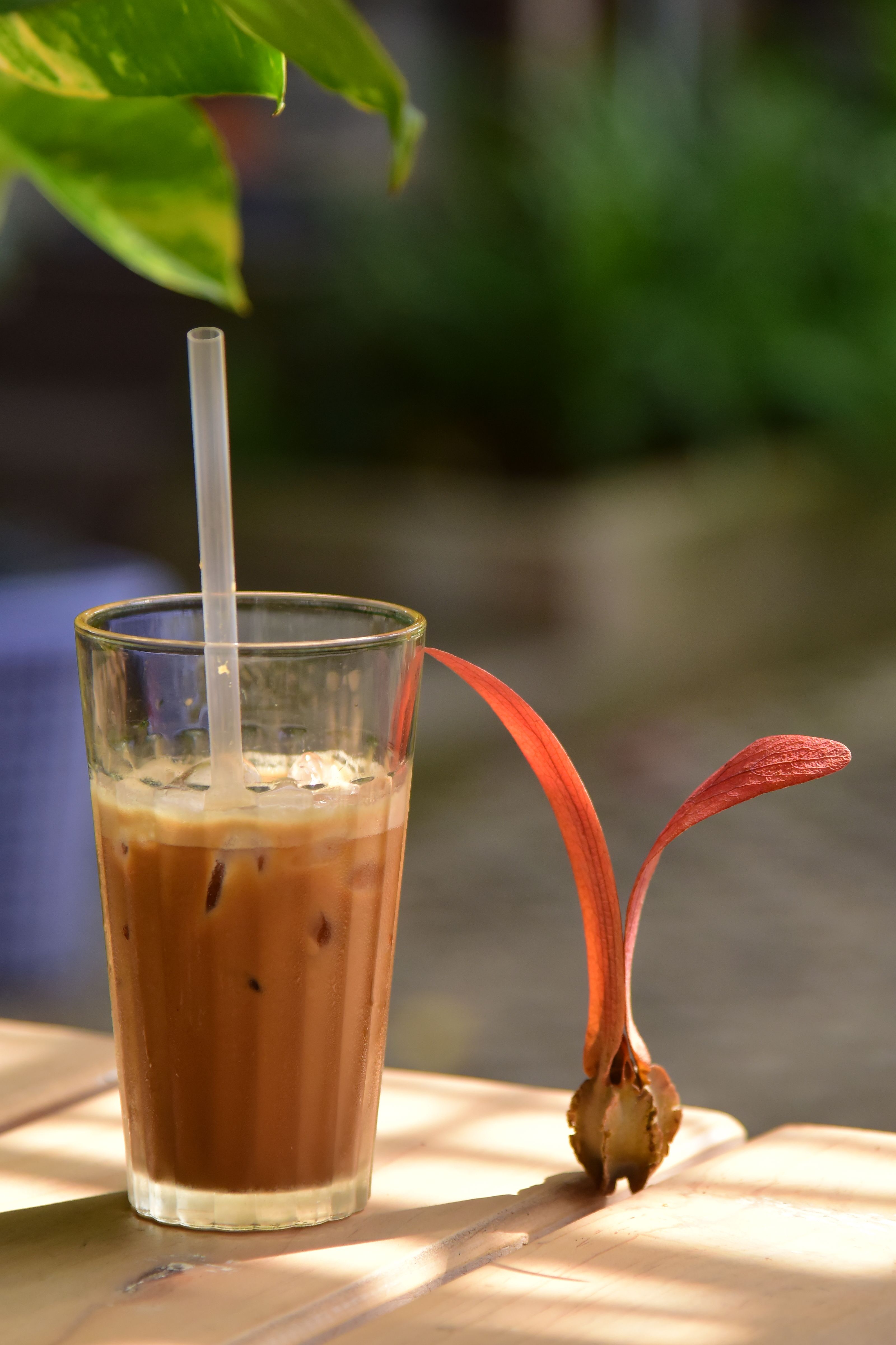 Refreshing iced coffee with a straw next to a tropical seed on a sunny outdoor table.