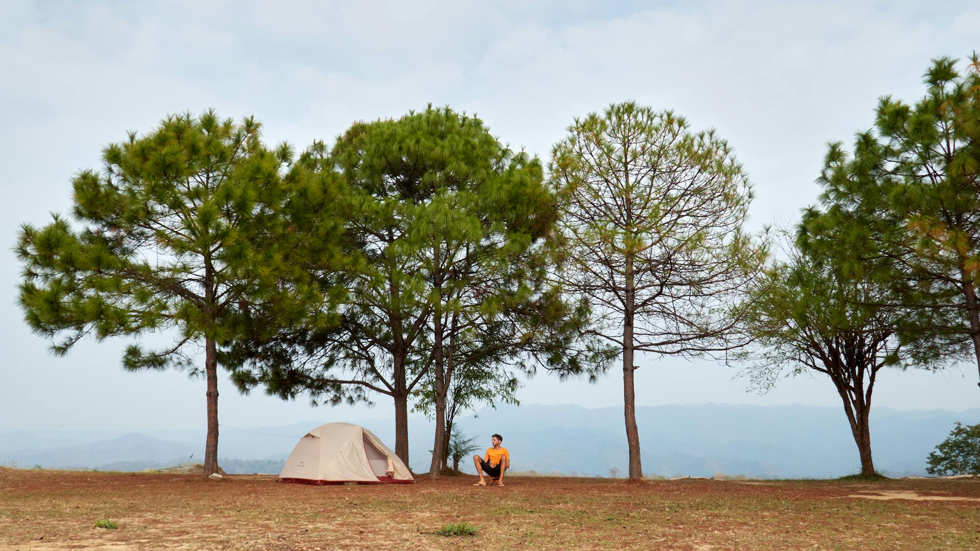 Peaceful camping scene in Thailand with tent and trees, perfect for nature lovers.
