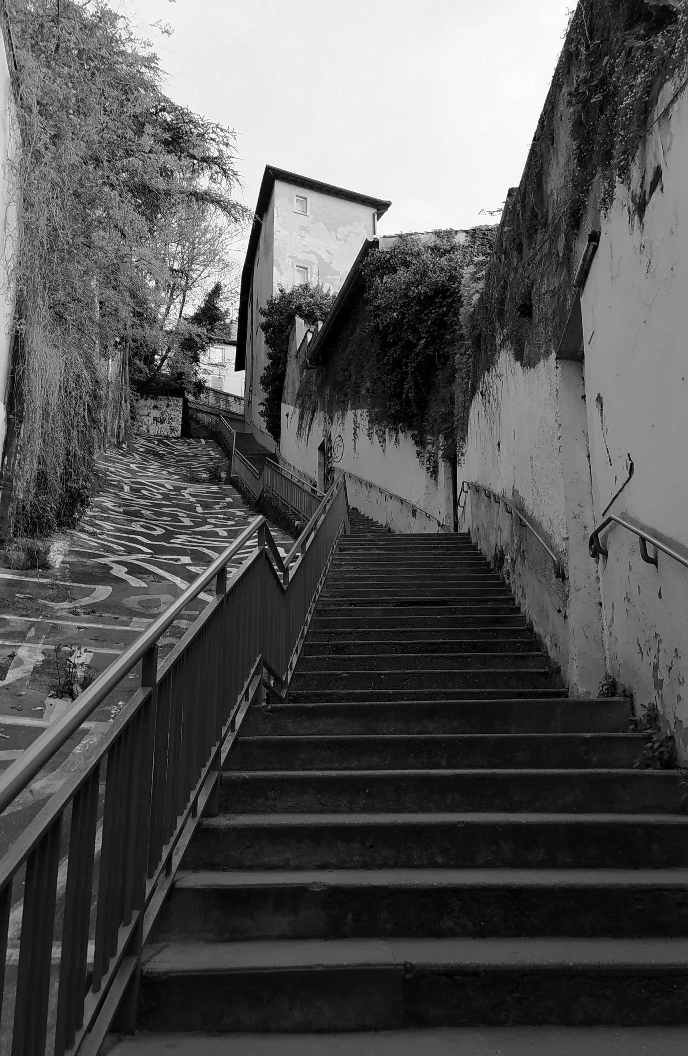 Escalier de la Croix-Rousse, architecture des canuts lyonnais