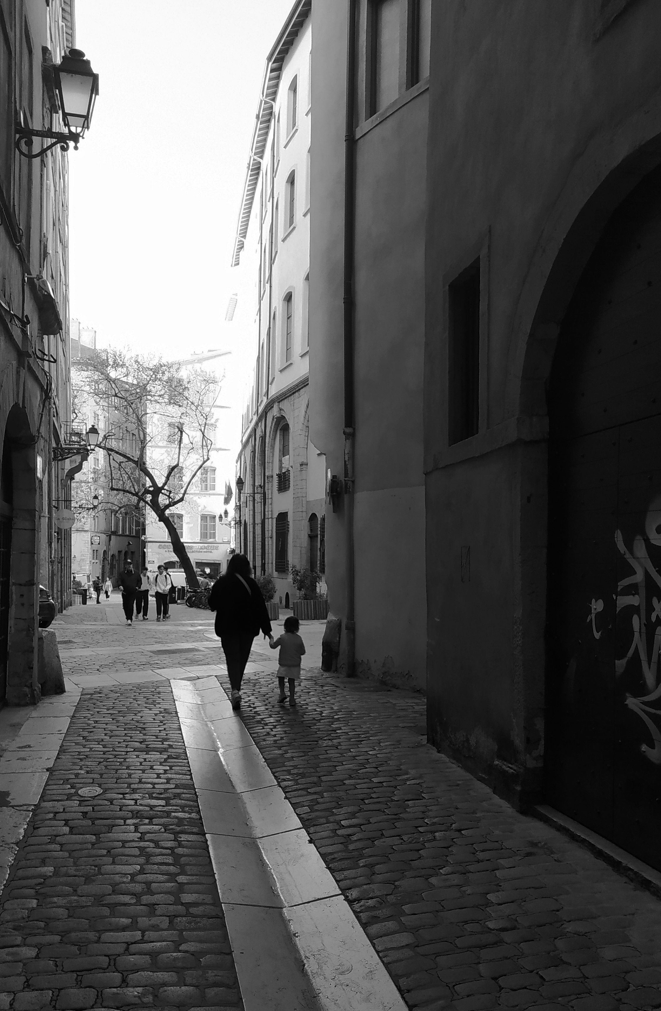 Scenic view of Lyon, France