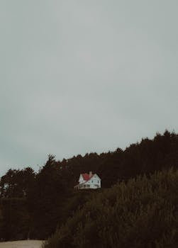 A moody landscape featuring a red-roof house nestled near a forest in Lake Oswego, Oregon.