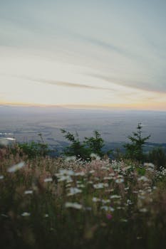Banyak Suara Tembakan di Dekat Kampus Universitas Oregon - banyak 1