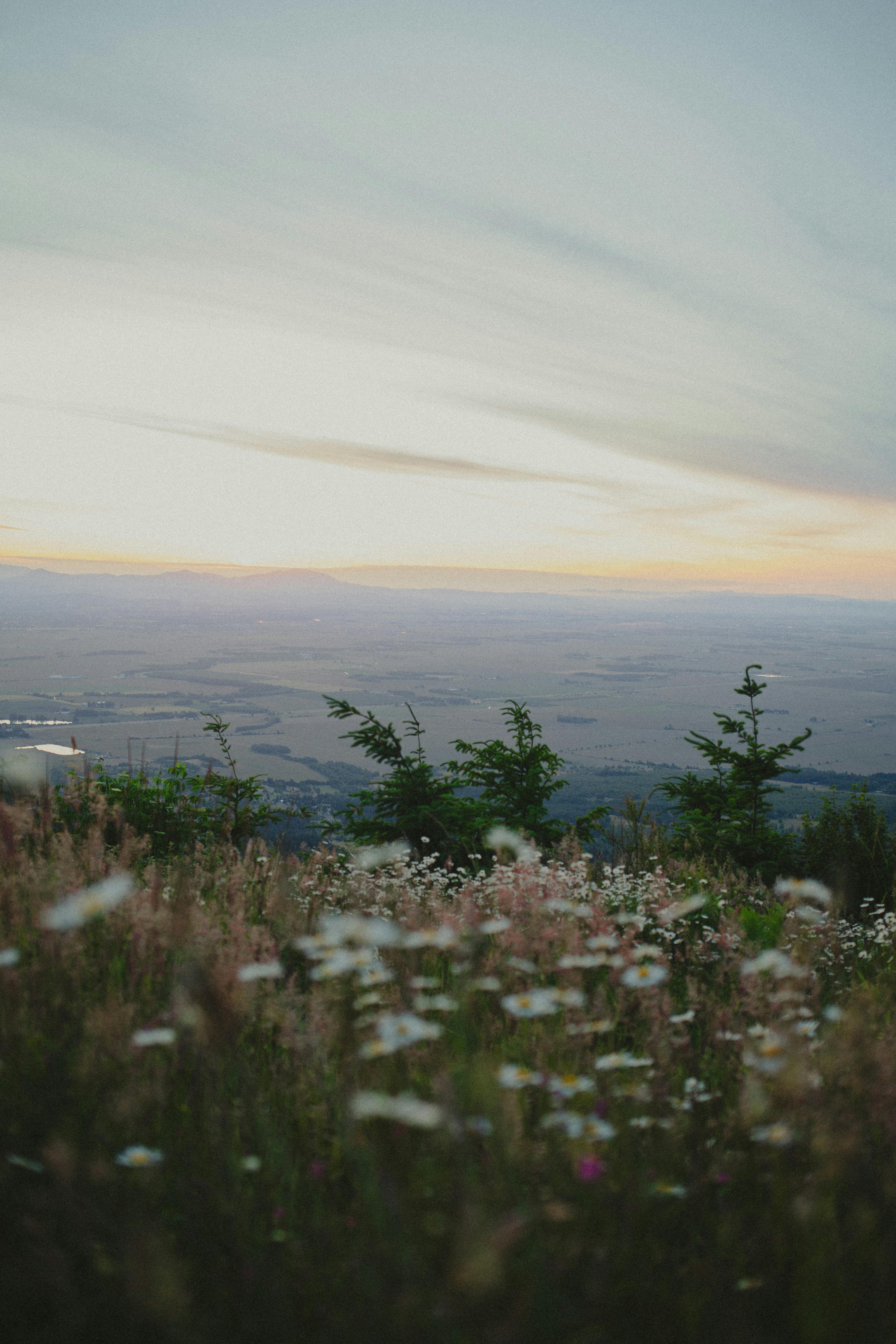 Landscape reference photos download the best free landscape reference