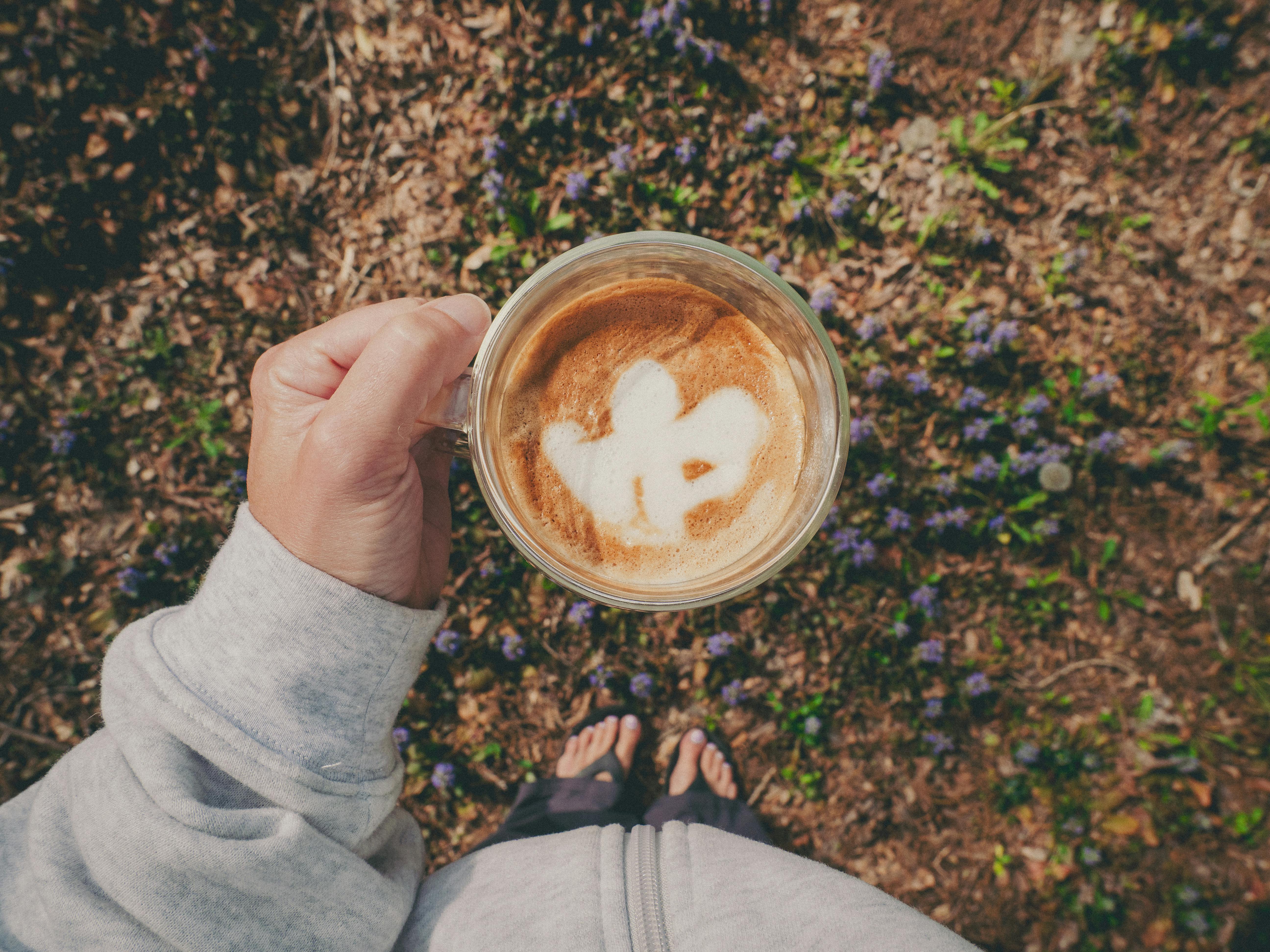 pourquoi planter a l automne