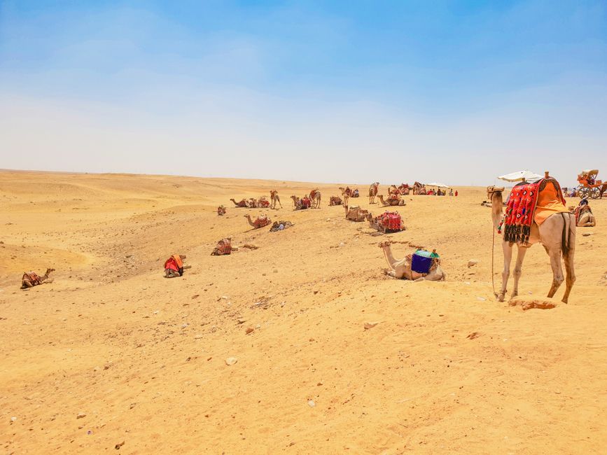 Foto de Las Pirámides de Giza