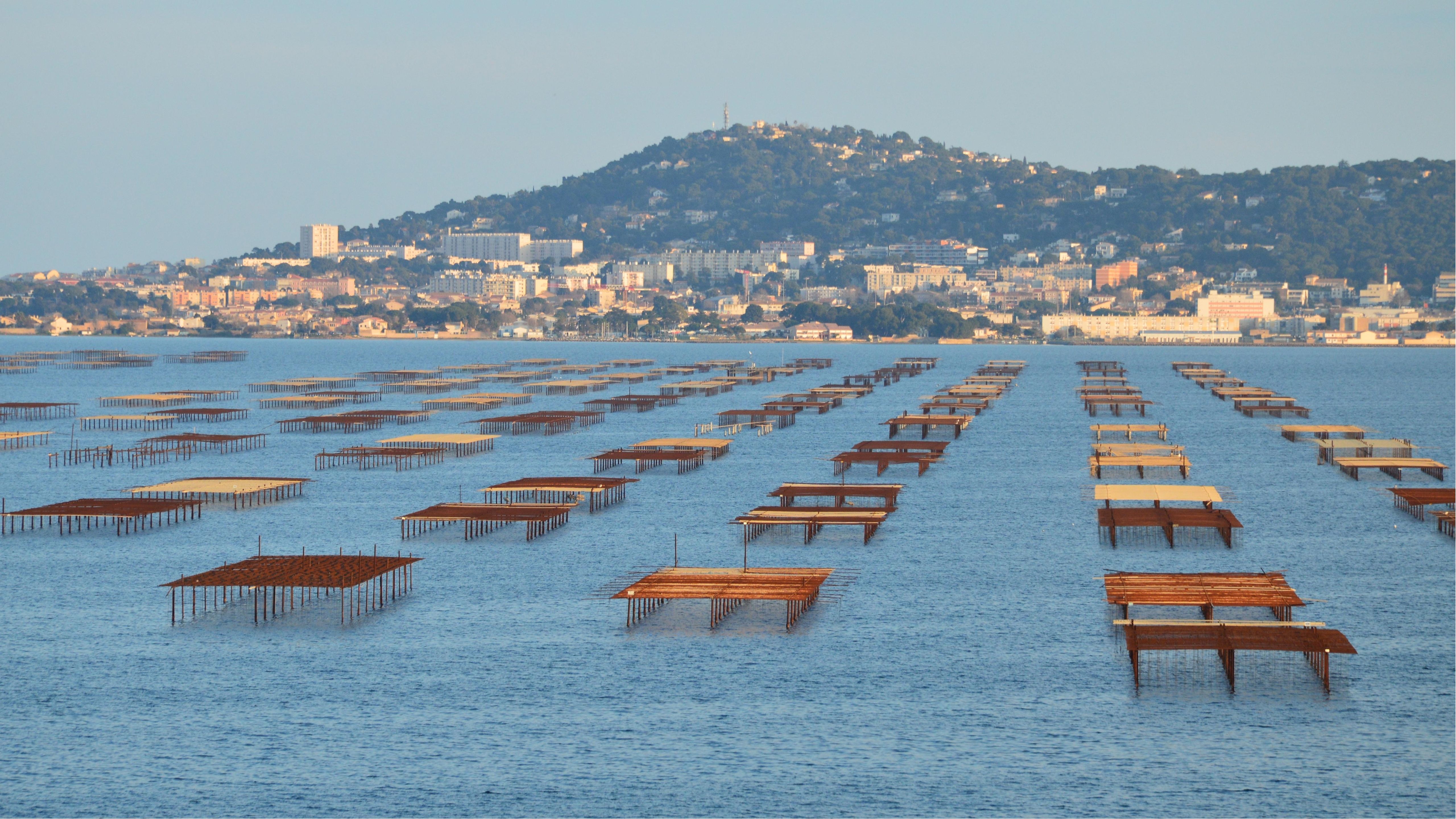 Ocean Farming Structures in Mediterranean Coast · Free Stock Photo