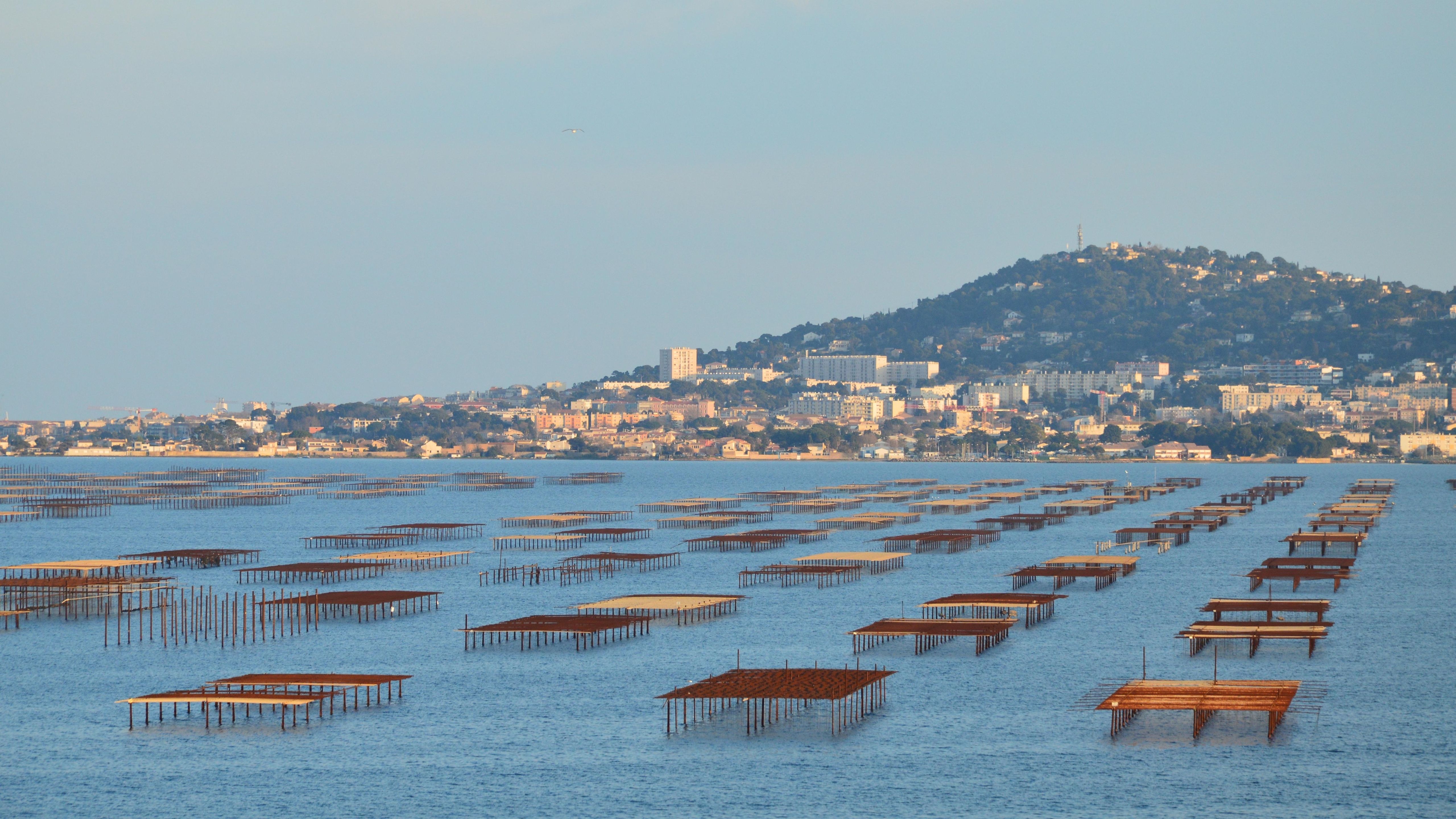 Tables ostr&eacute;icoles sur l'&Eacute;tang de Thau au coucher de soleil, Mont Saint-Clair en arri&egrave;re-plan