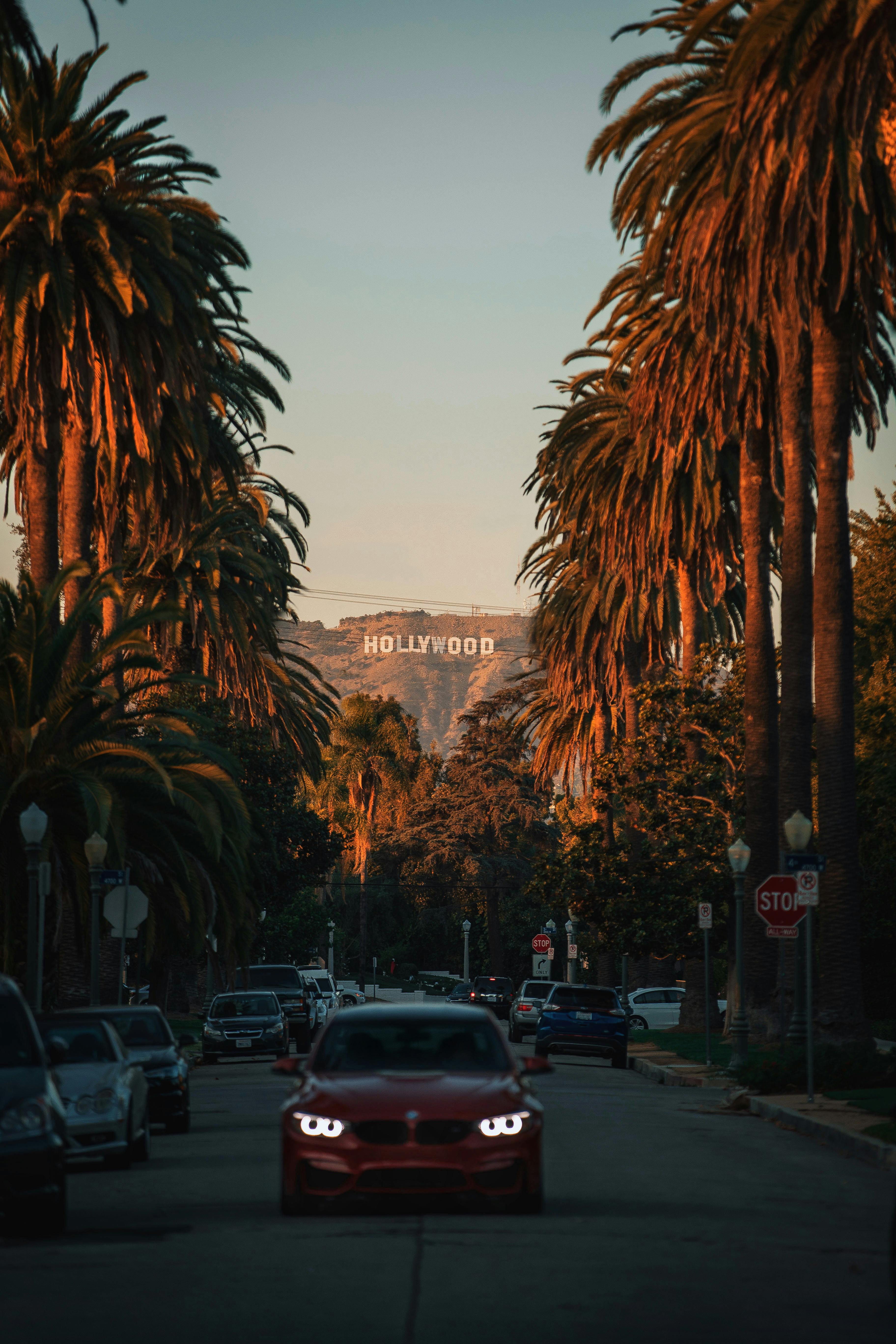 hollywood sign iPhone Wallpapers Free Download