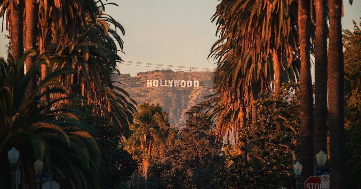 How much do lawyers make in Los Angeles