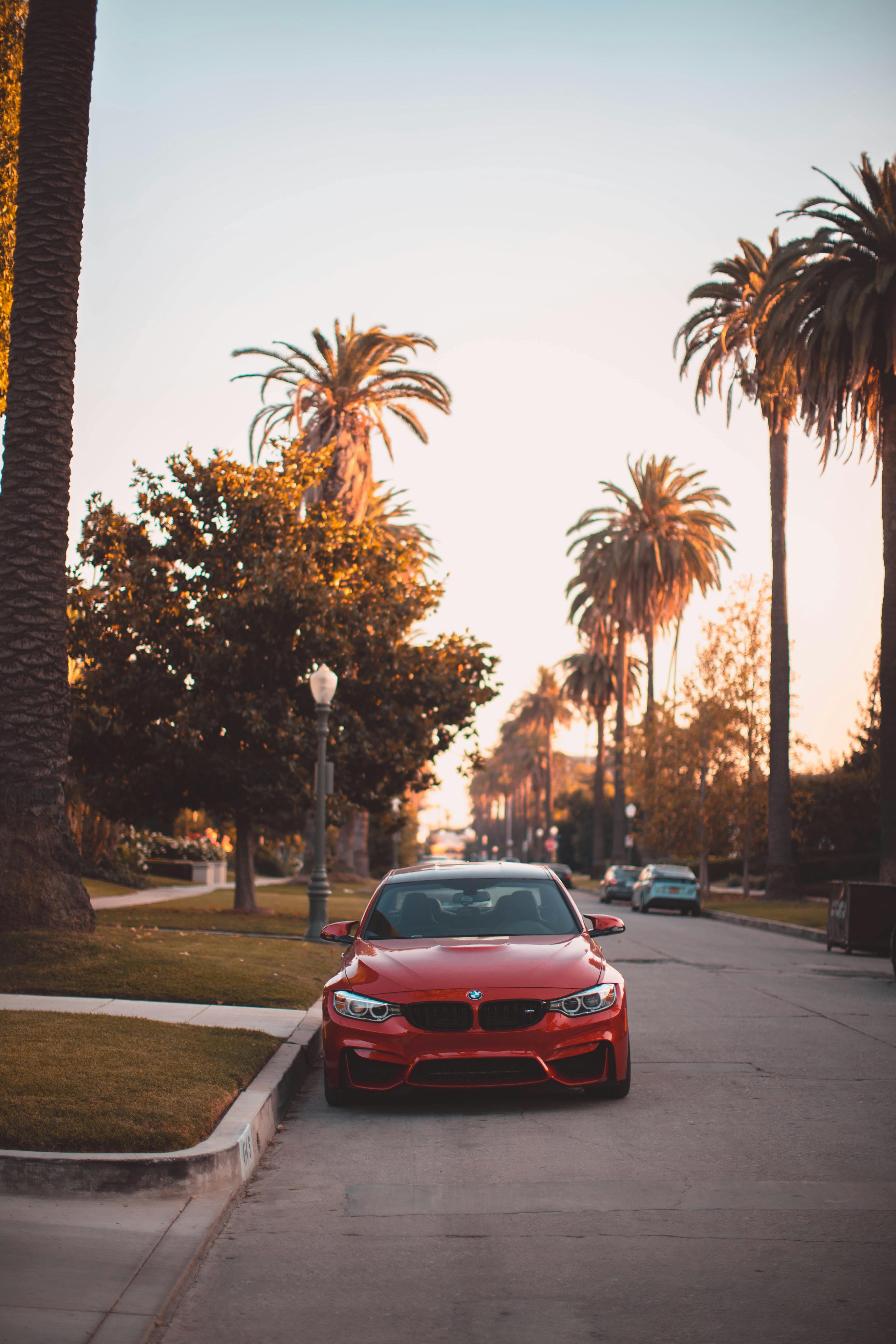 Foto Um carro esportivo laranja estacionado em um estacionamento – Imagem  de Califórnia grátis no Unsplash