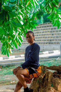 A woman in casual clothing sits on a tree stump under green leaves in a sunny outdoor setting.