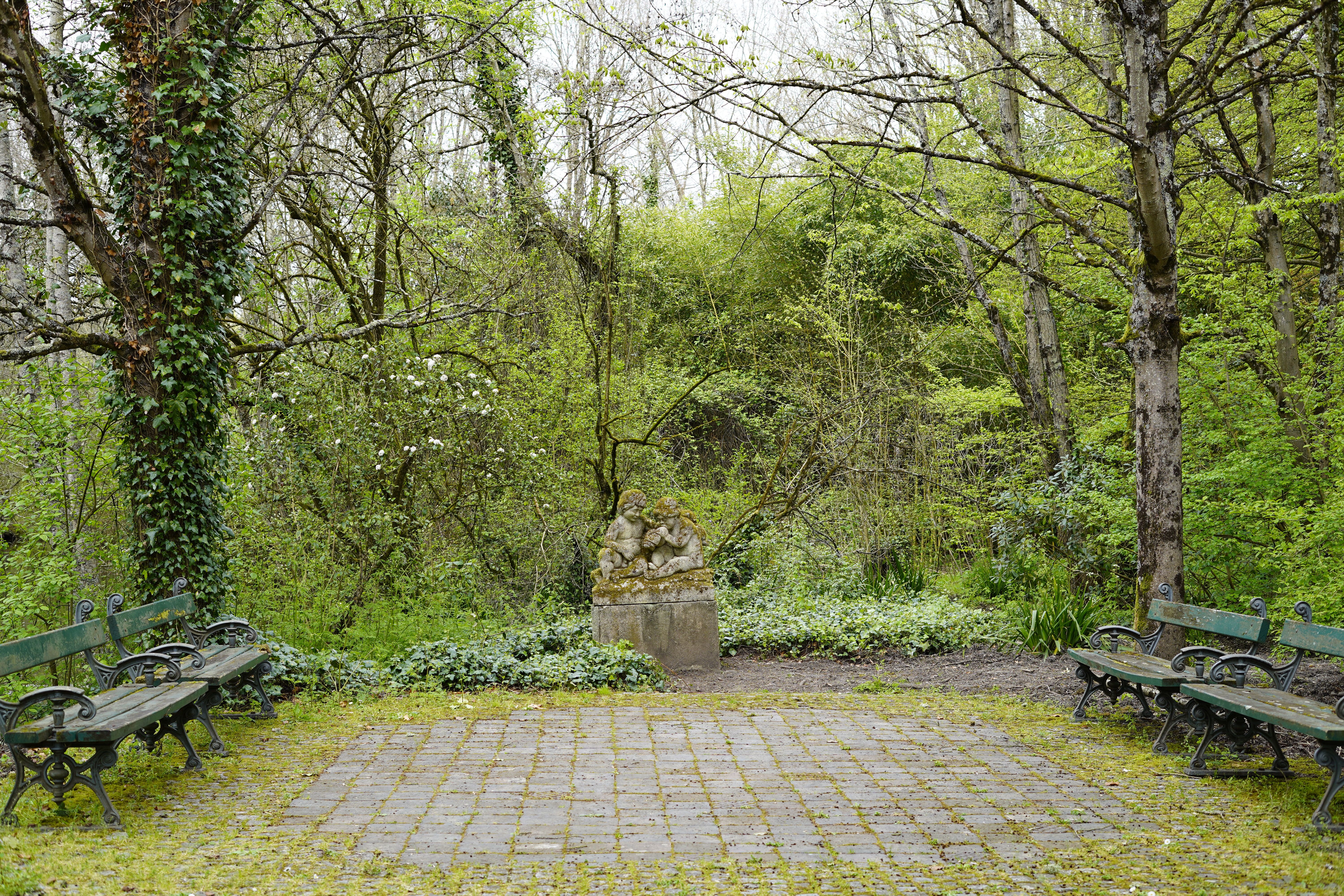 Labirynt w lesie Echternach