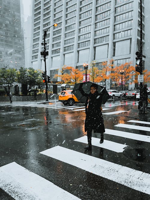 무료 검은 우산을 들고 여자 스톡 사진