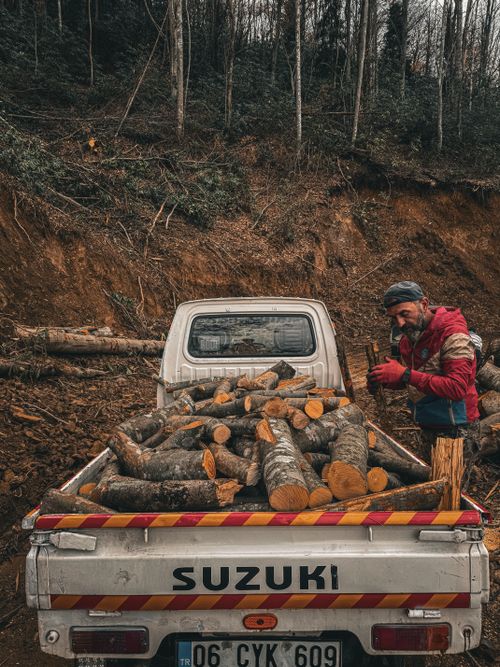 Free A man in a forested area loading cut logs into a small truck, showcasing rural life in Rize, Türkiye. Stock Photo
