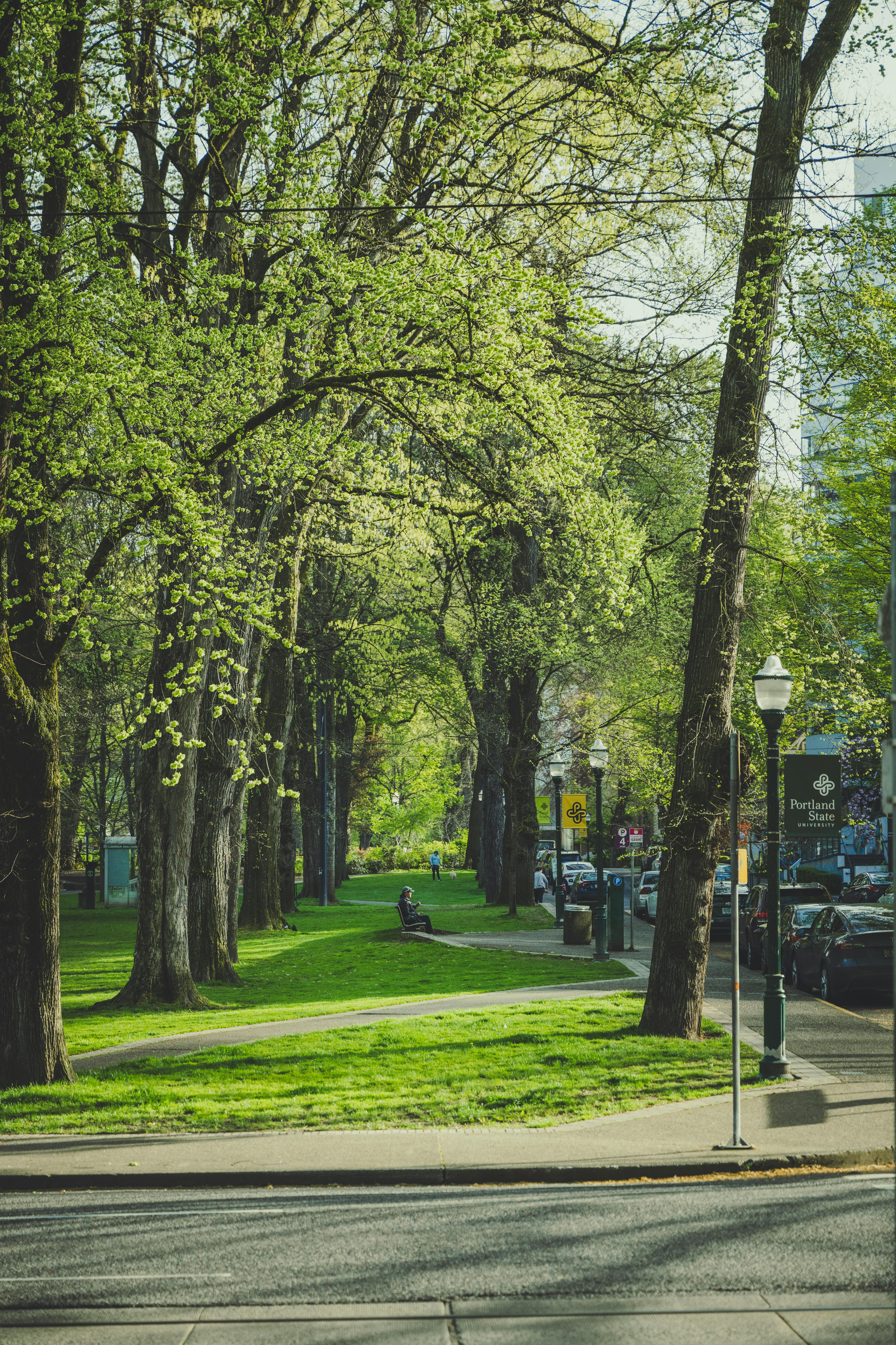 Washington Park