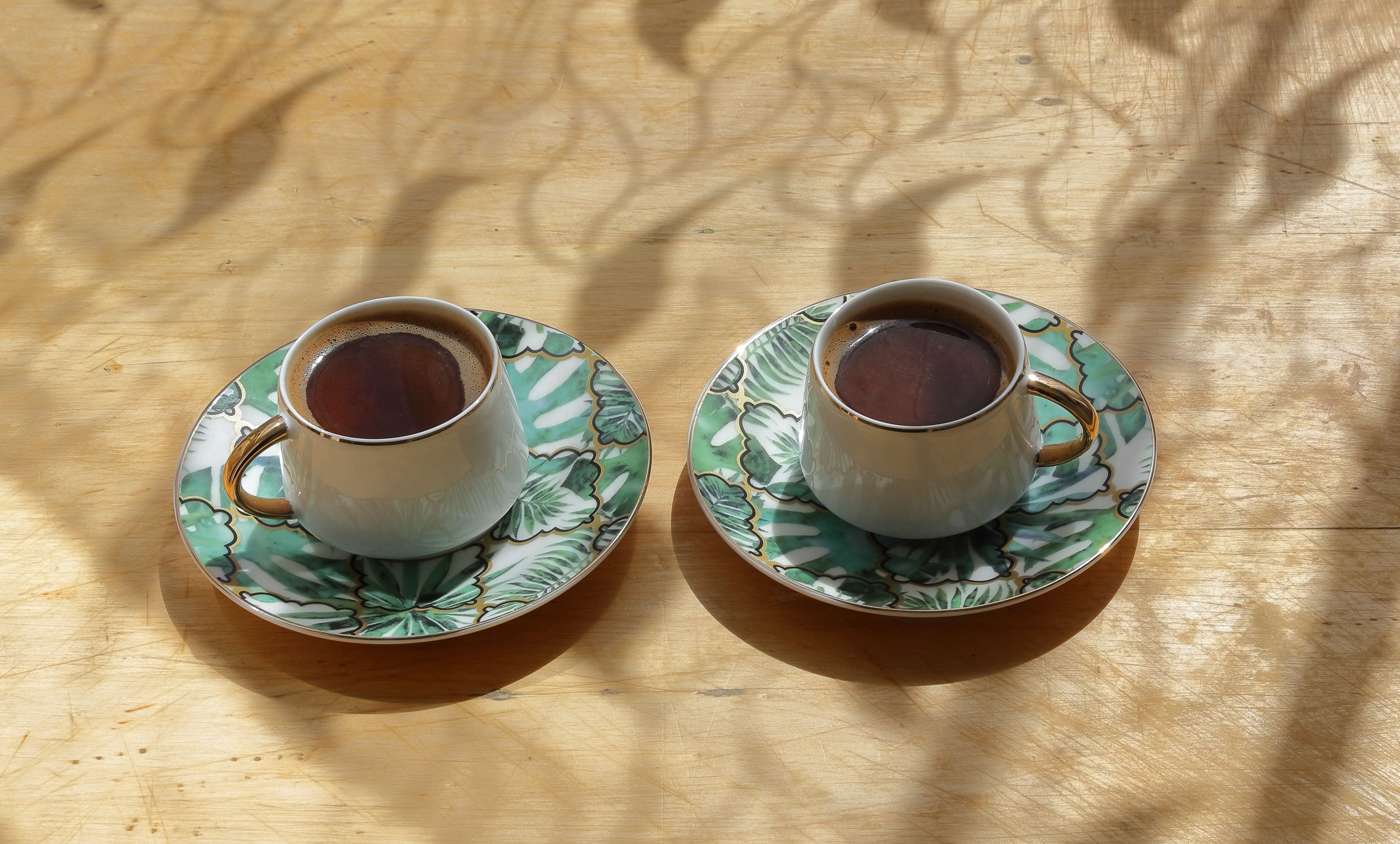 Two elegant coffee cups with green floral saucers on a sunlit wooden table.