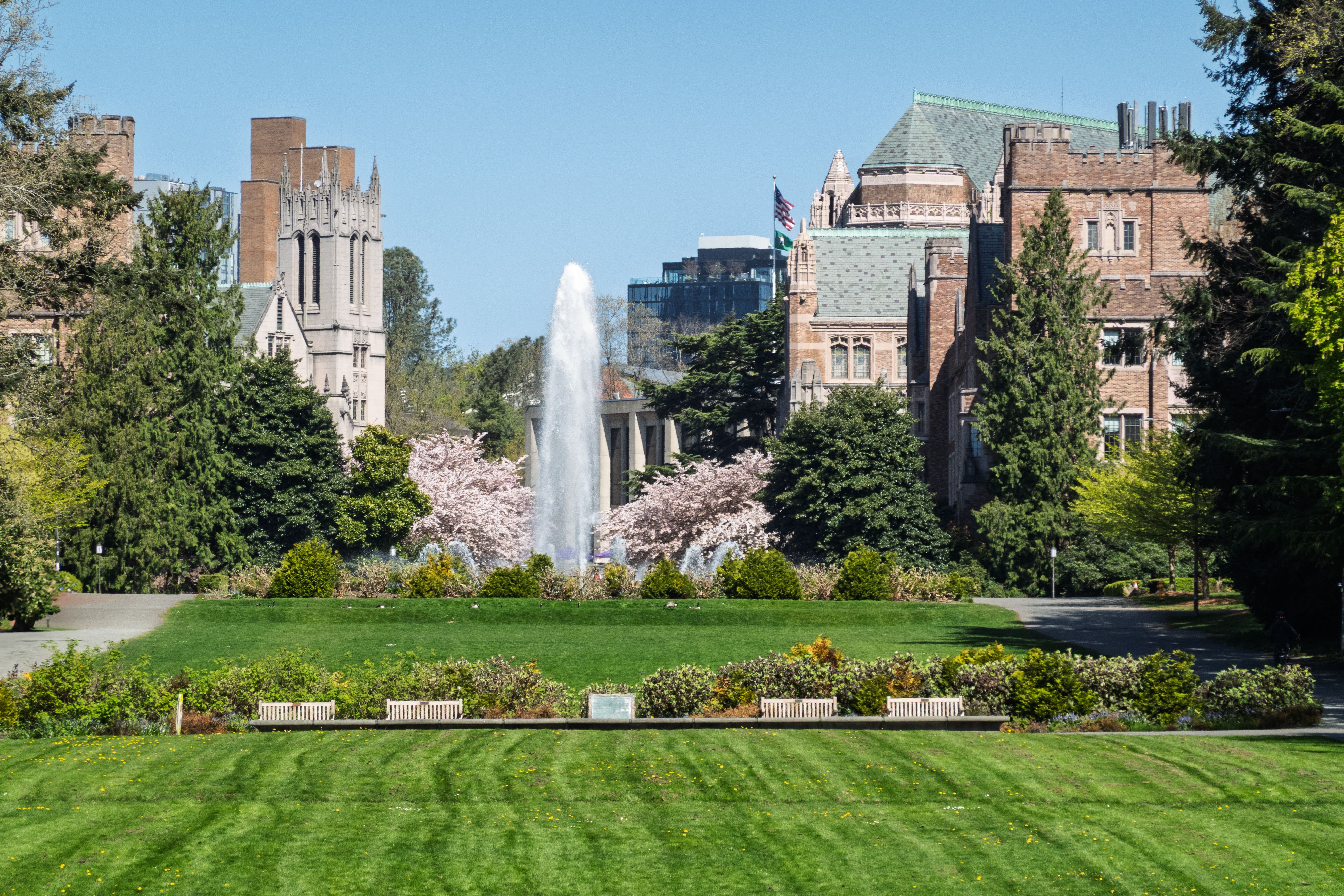 The Ripple Effect on Seattle's Tech Ecosystem