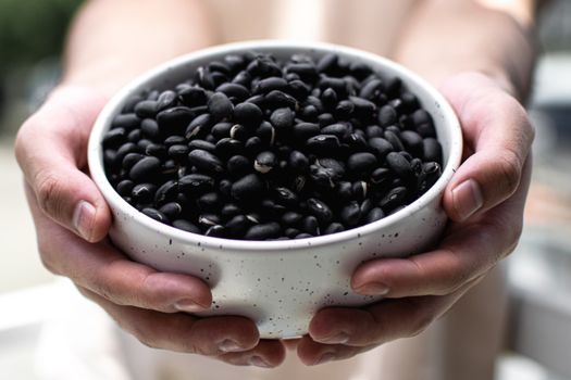 Morningstar Farms Meal Solutions Chipotle Black Bean 16.2oz — kidney-friendly food