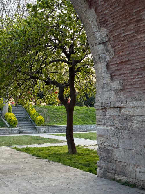 Free Tree framed by ancient stone archway in İstanbul park with lush greenery and steps. Stock Photo