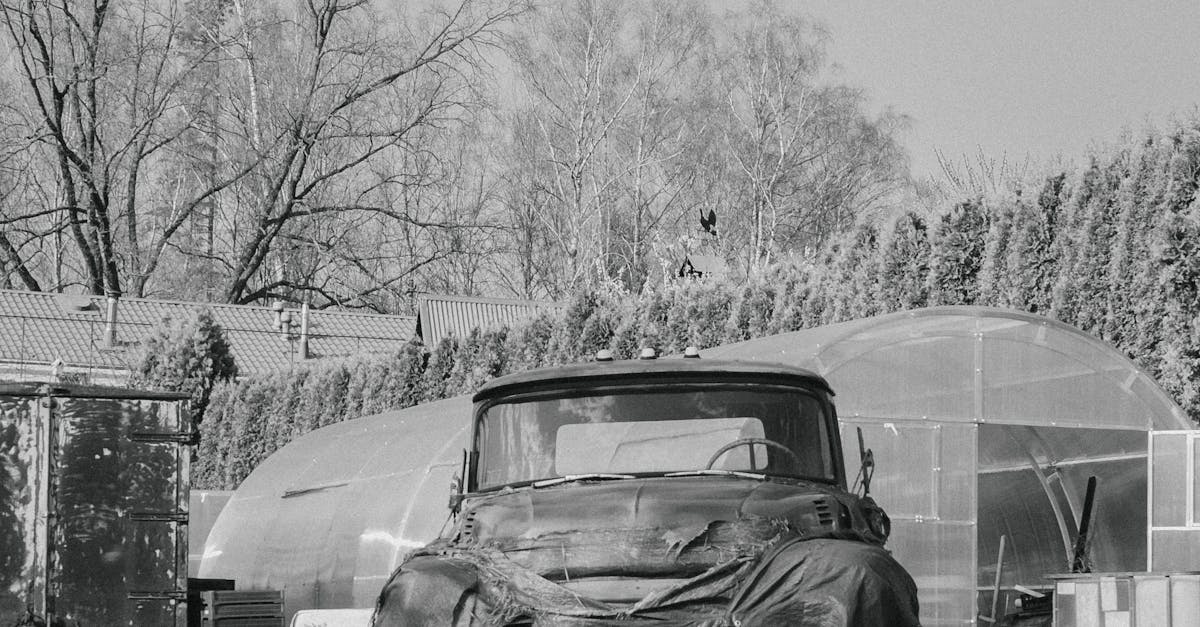 台大ESG創新實踐與科技應用論壇 張麗善分享翻轉農業具體成果