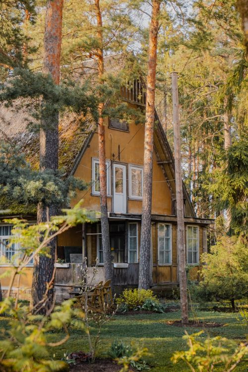 Charming Rustic House in Lush Forest Setting · Free Stock Photo
