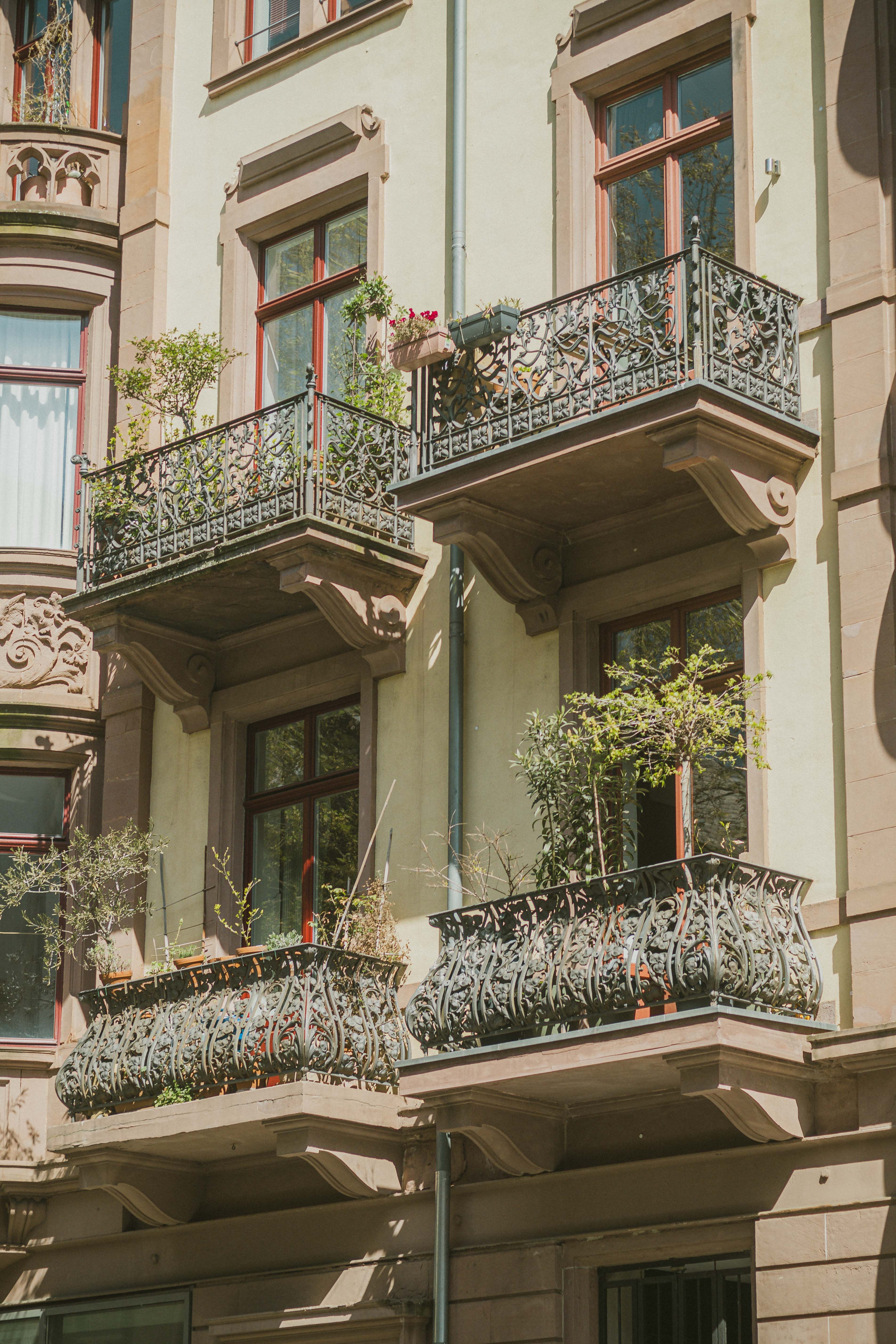 Daylight street scene with crisp detail—perfect for a fine‑grain, low‑filtration analog look.