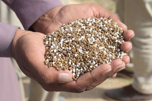 Gránulos de urea en mano