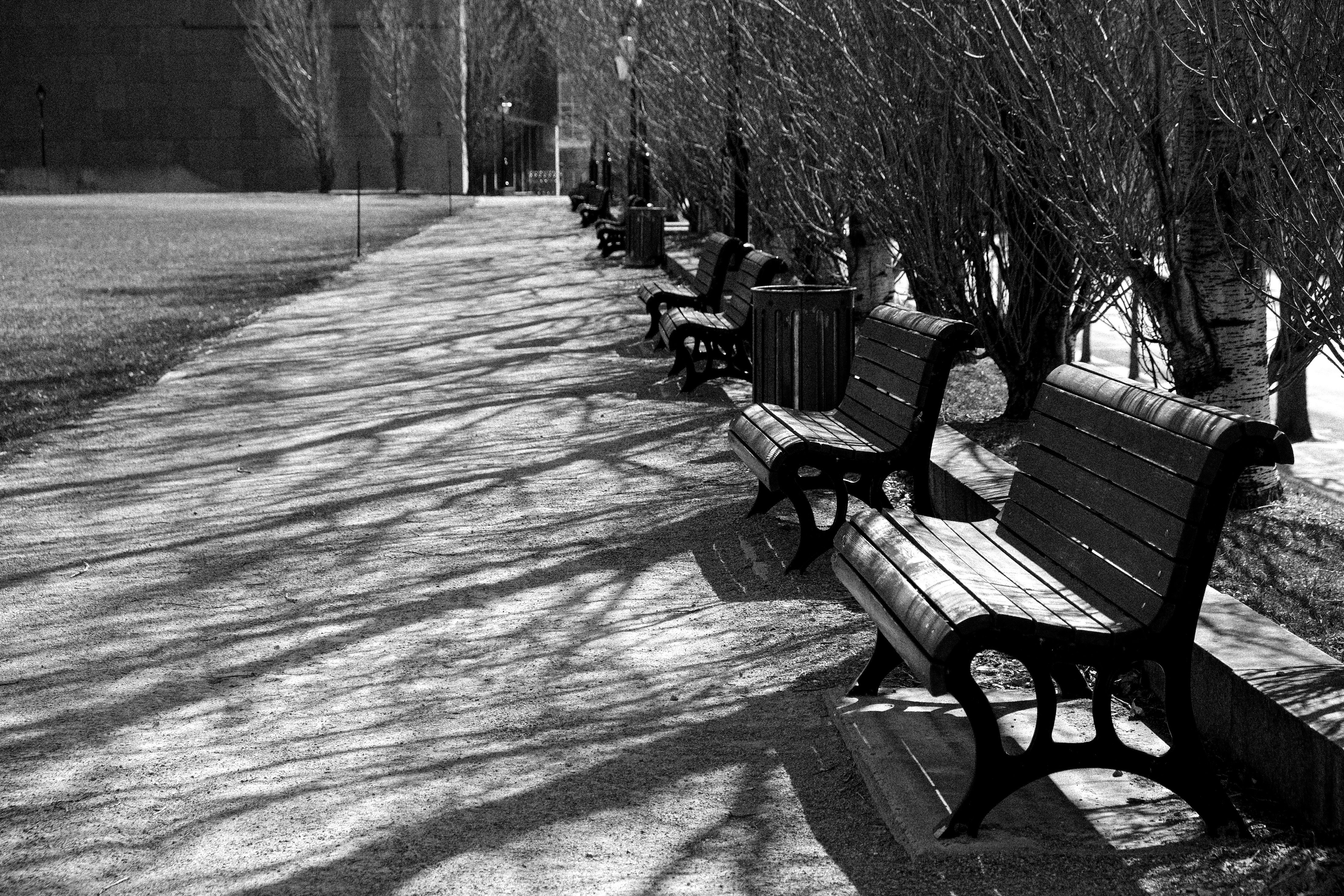empty park bench long shadows