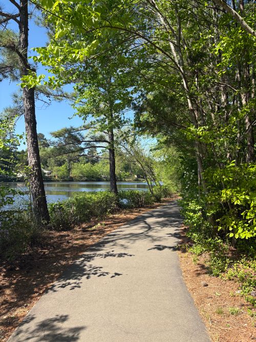 Free A tranquil lakeside pathway surrounded by lush greenery on a sunny spring day. Stock Photo