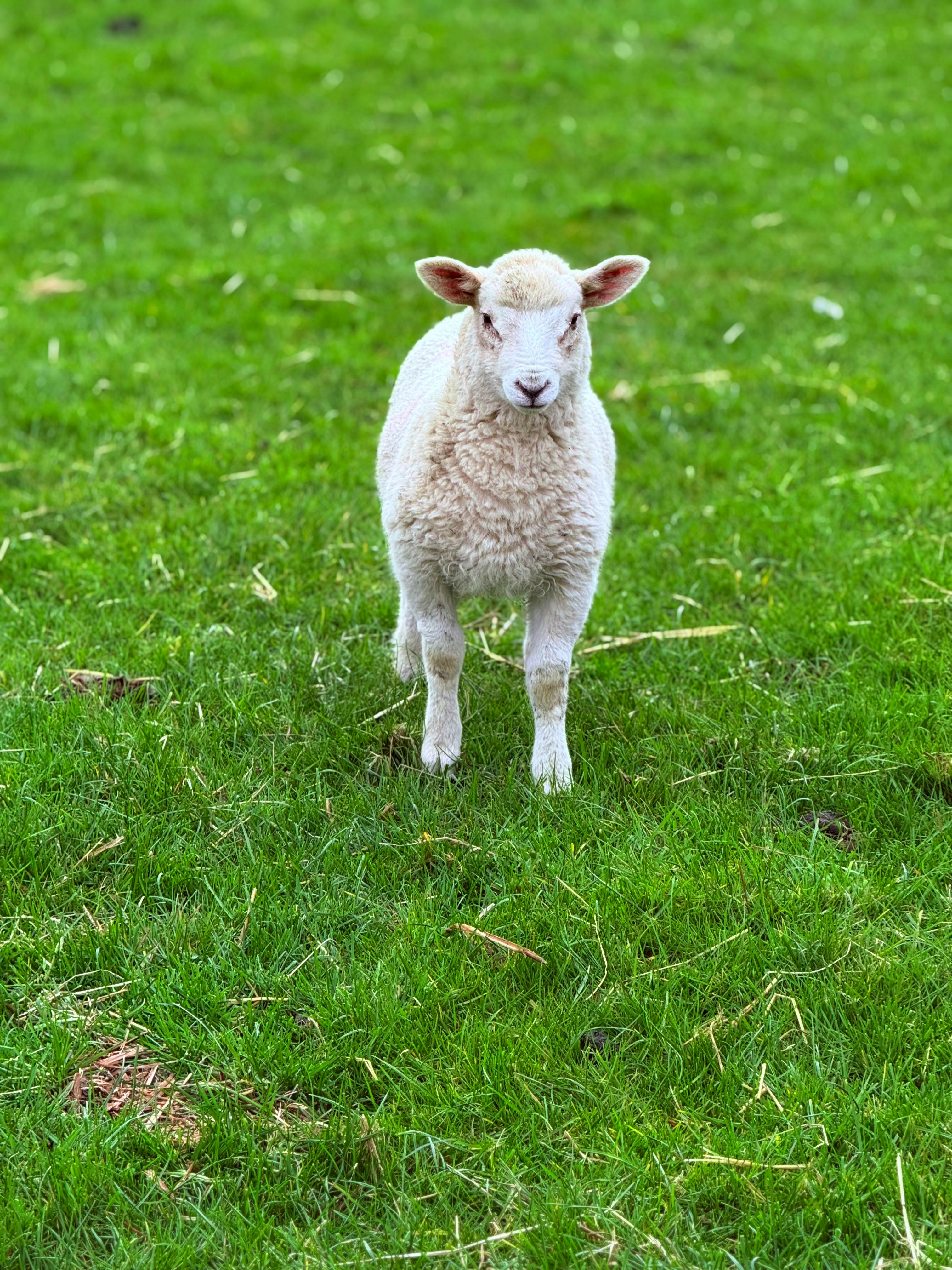 Brazzers Downloads Photos Download The BEST Free Brazzers Downloads