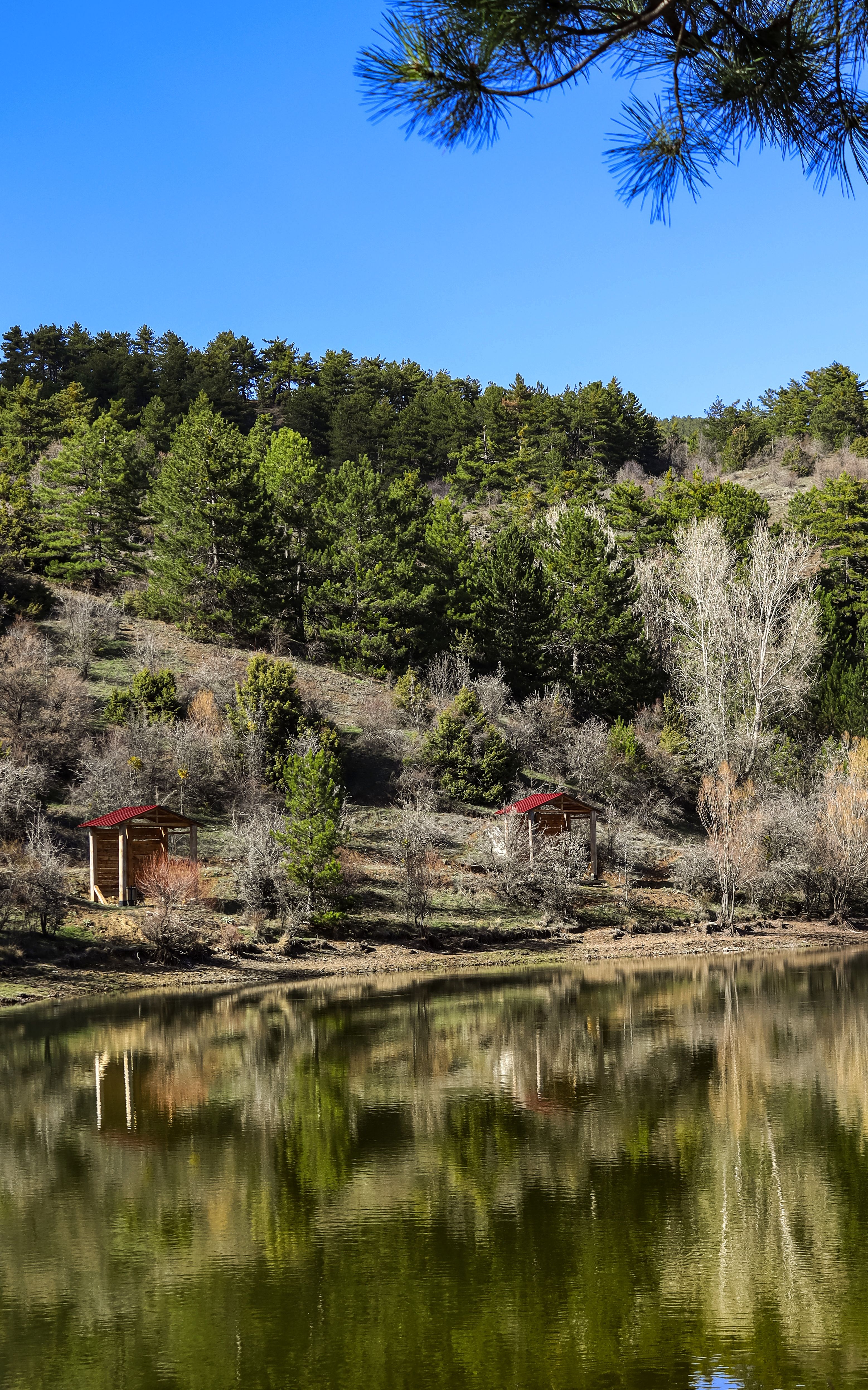 Peaceful lake reflecting trees and cabins in Ankara, Türkiye.