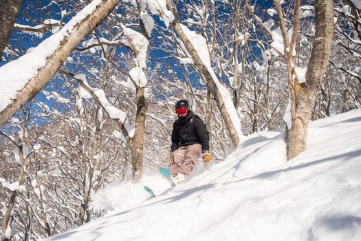 Niseko powder skiing with a guide — Sapporo
