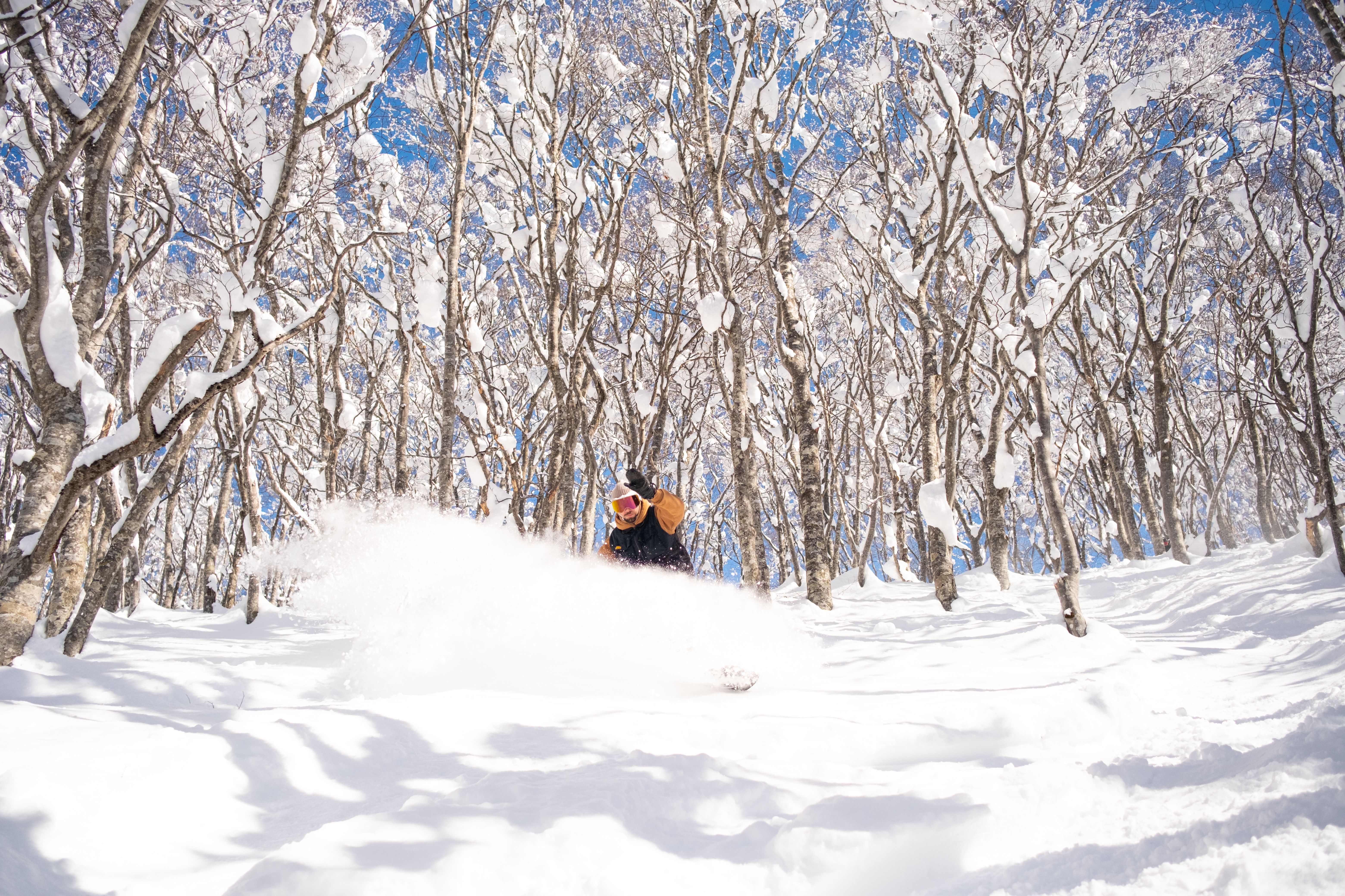 Hokkaido Ski Touring Etiquette - Essential Backcountry Tips for Safe and Respectful Travel
