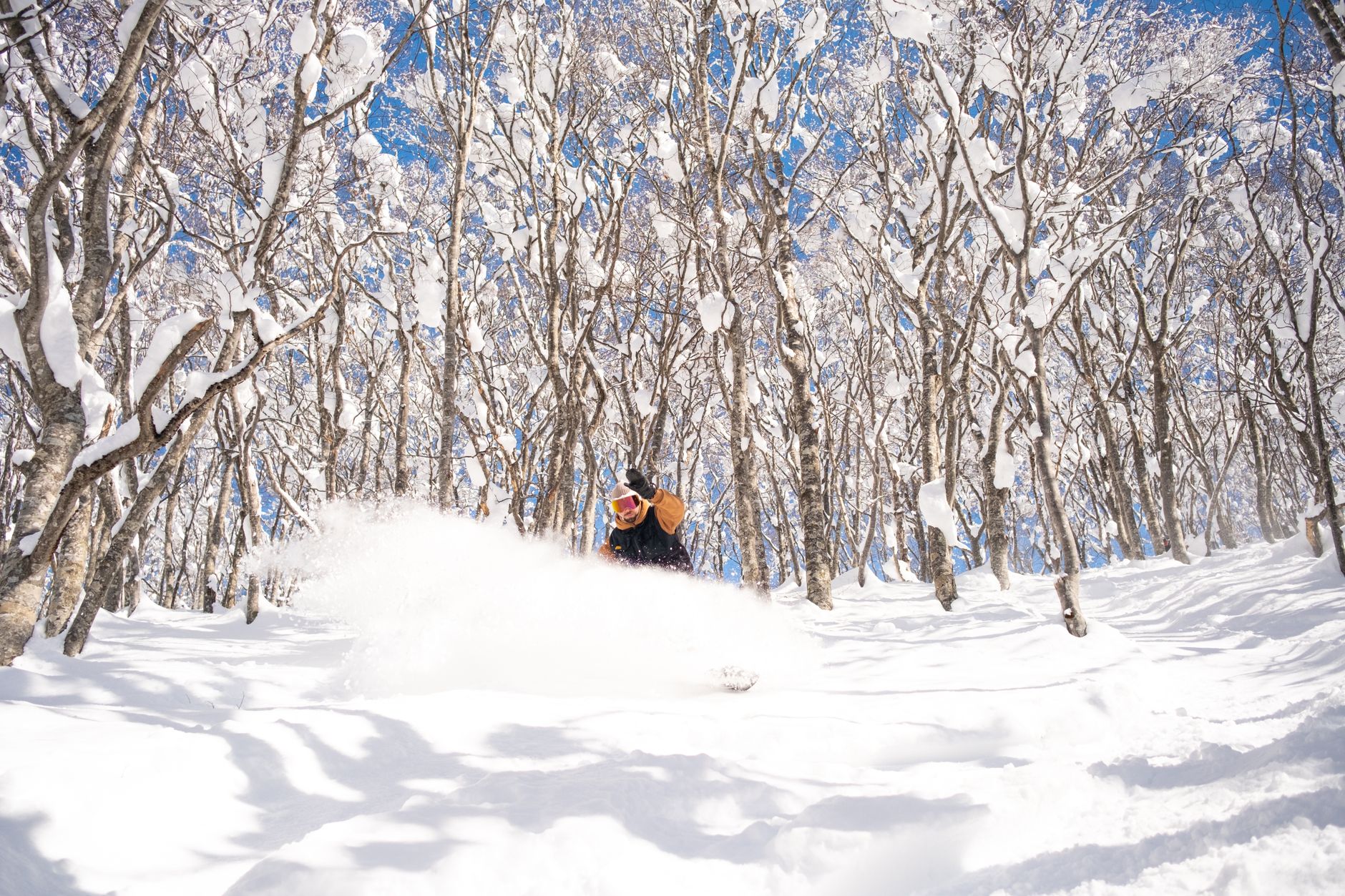Hokkaido Ski Touring Etiquette - Essential Backcountry Tips for Safe and Respectful Travel