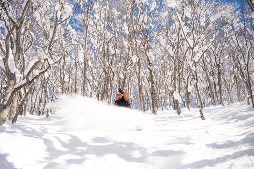 Niseko powder skiing with a guide — Sapporo
