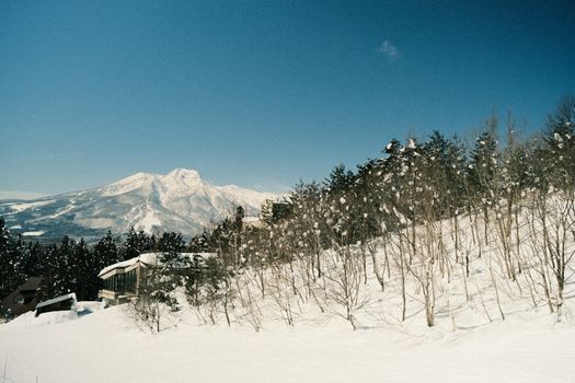 Niseko powder skiing with a guide — Sapporo